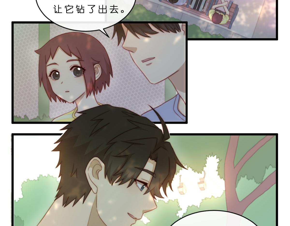 32.公园偶遇-第36话