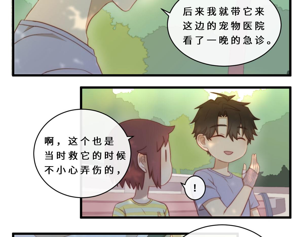 32.公园偶遇-第36话
