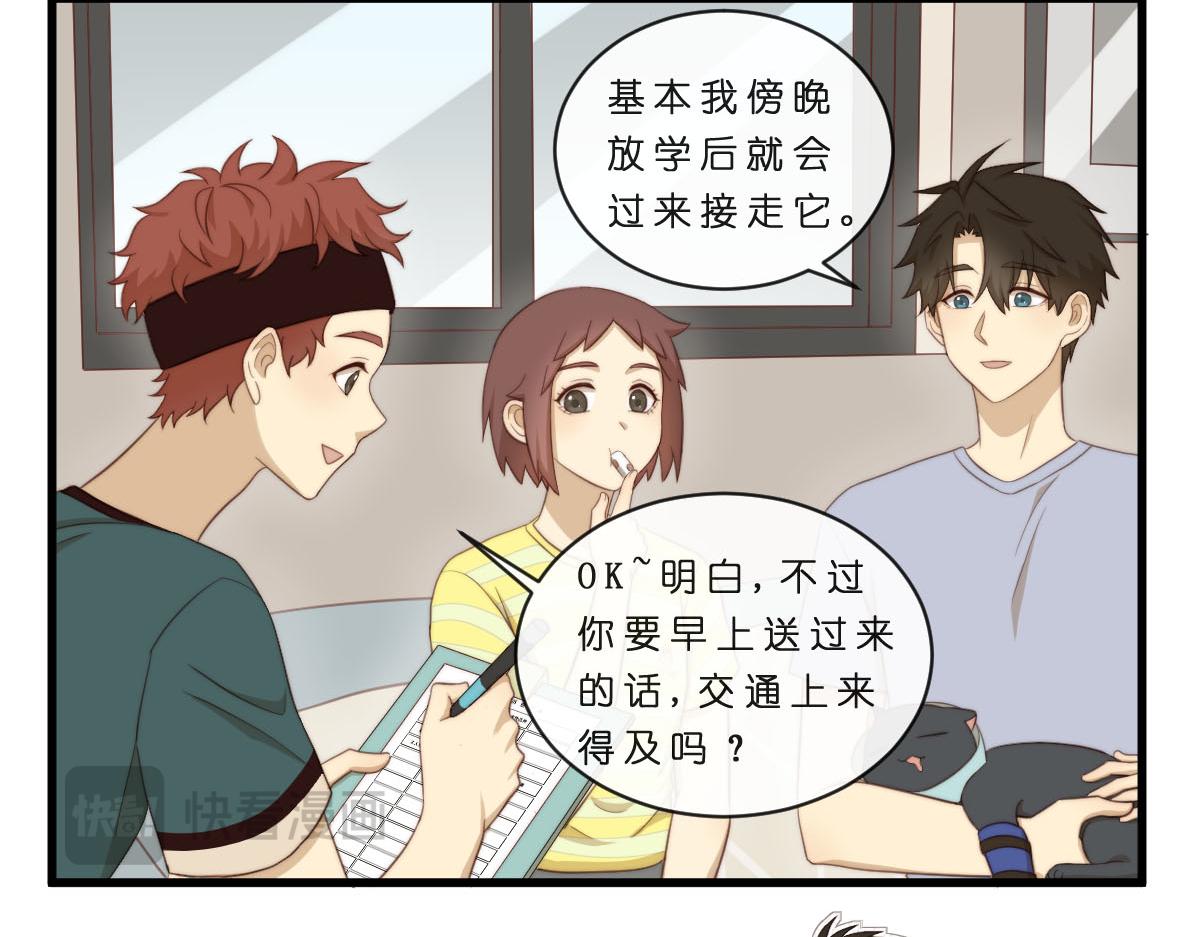 34.表哥家与猫-第38话