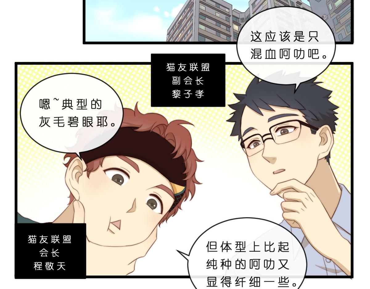 34.表哥家与猫-第38话