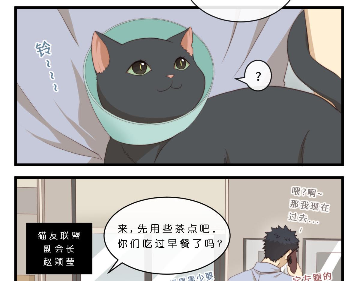 34.表哥家与猫-第38话