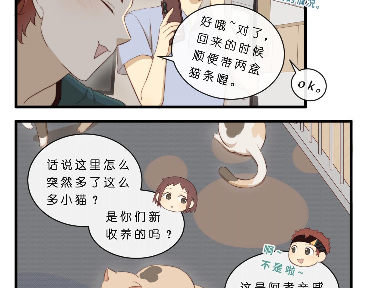 34.表哥家与猫-第38话