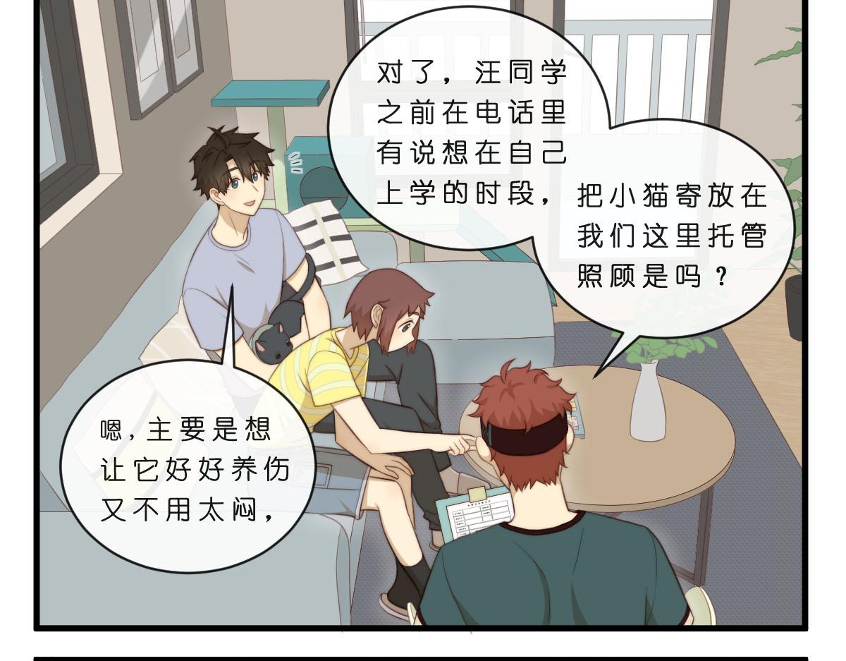 34.表哥家与猫-第38话