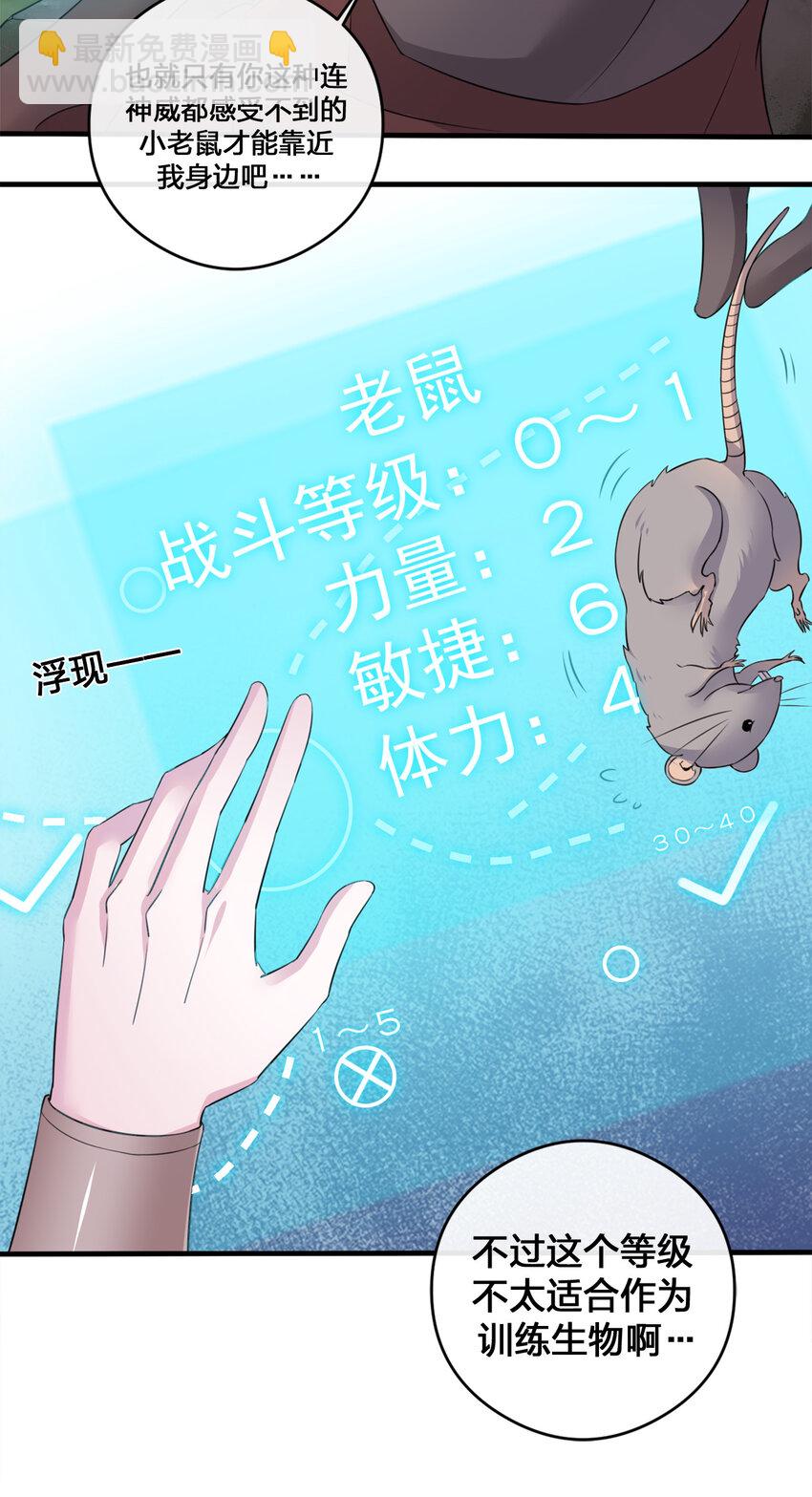 004 划分区域(1/2)-第4话