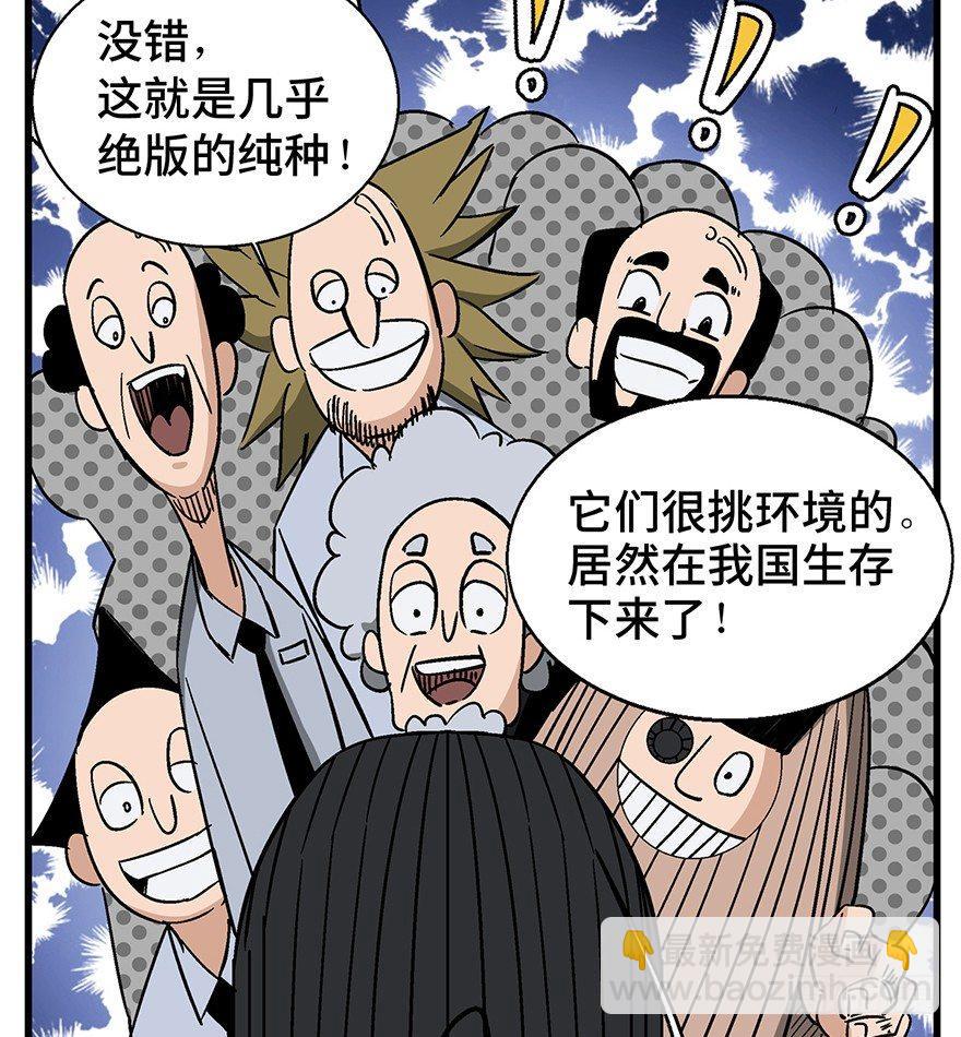 第一三八话&middot;鸡王之王(1/2)-第138话