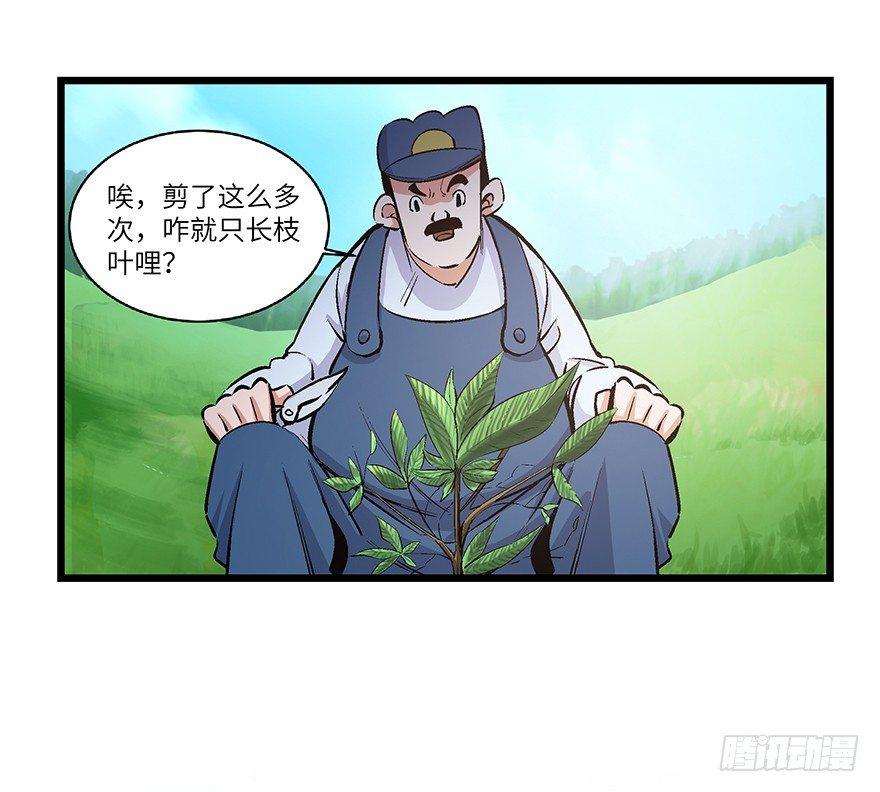 第一七零话&middot;花开之时(1/3)-第170话