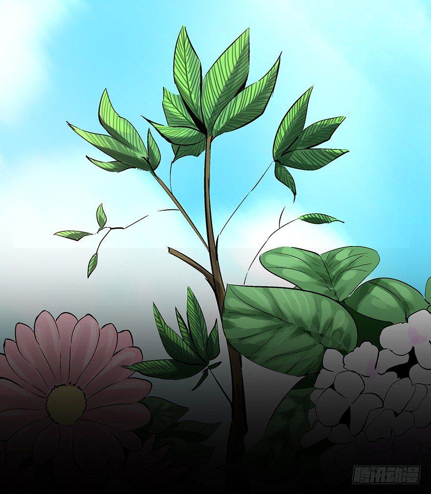 第一七零话&middot;花开之时(1/3)-第170话