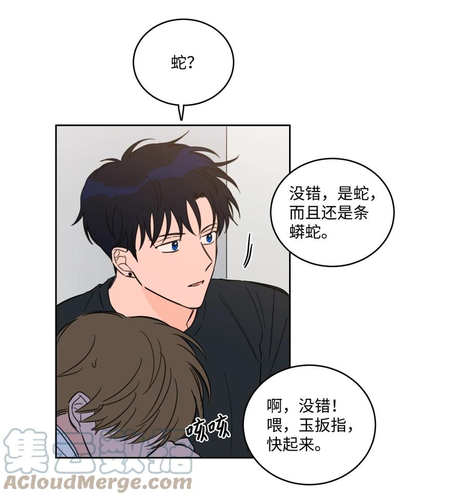56 蟒蛇的诅咒-第56话