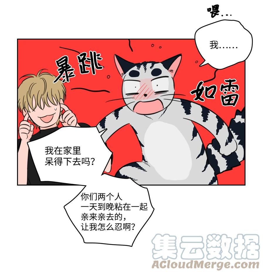 56 蟒蛇的诅咒-第56话