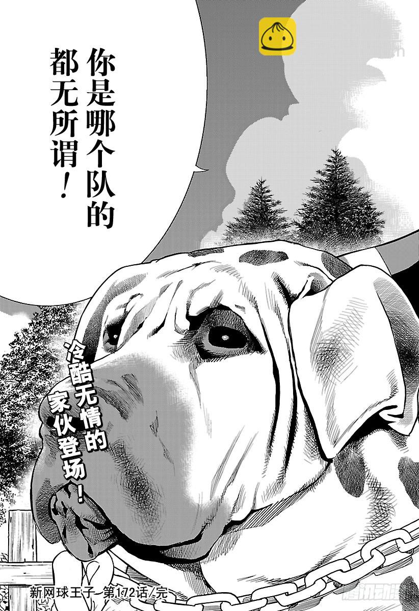 🍚新网球王子 第172话 新的敌人 第13页