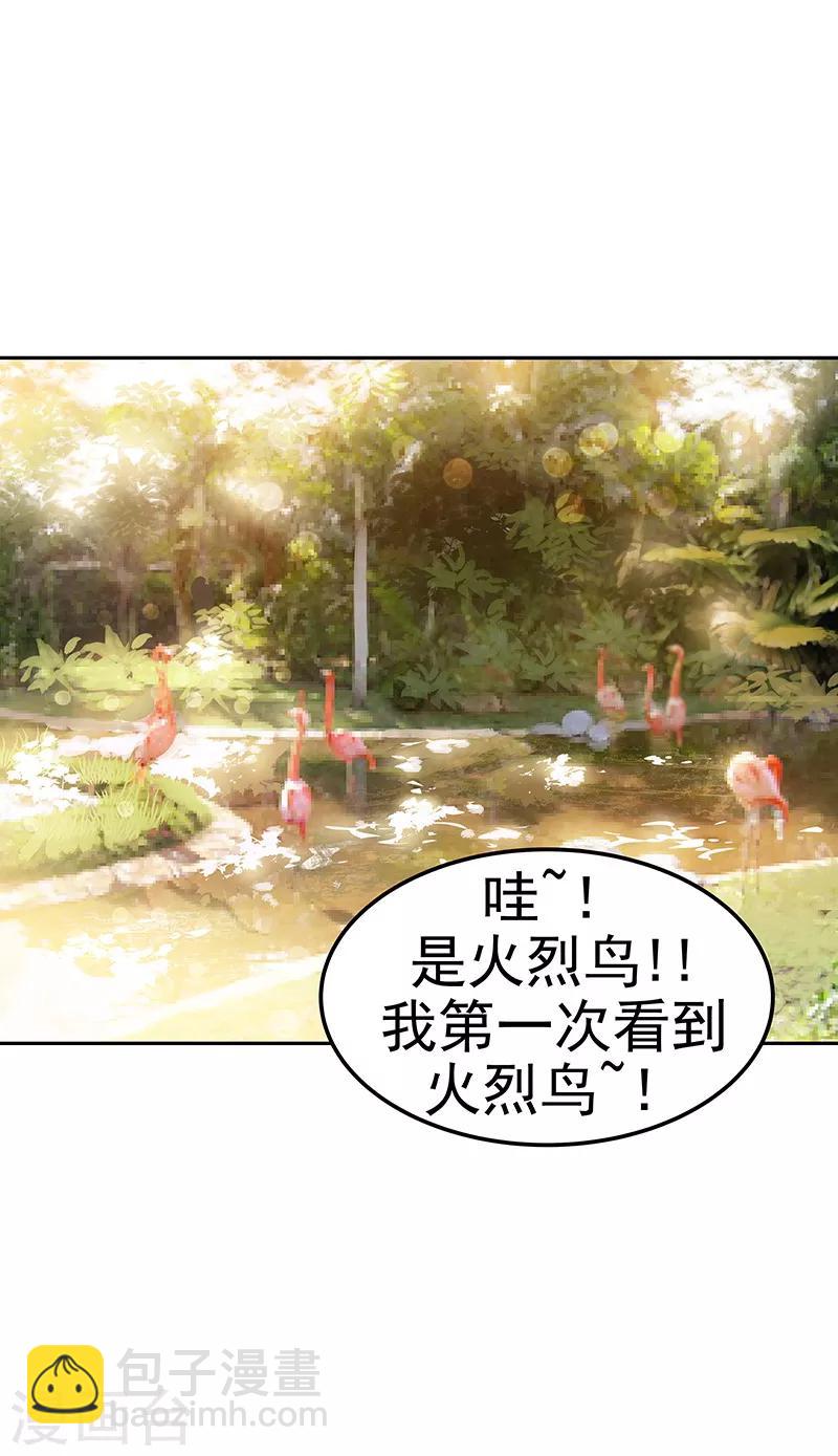 第146话 游逛动物园-第156话