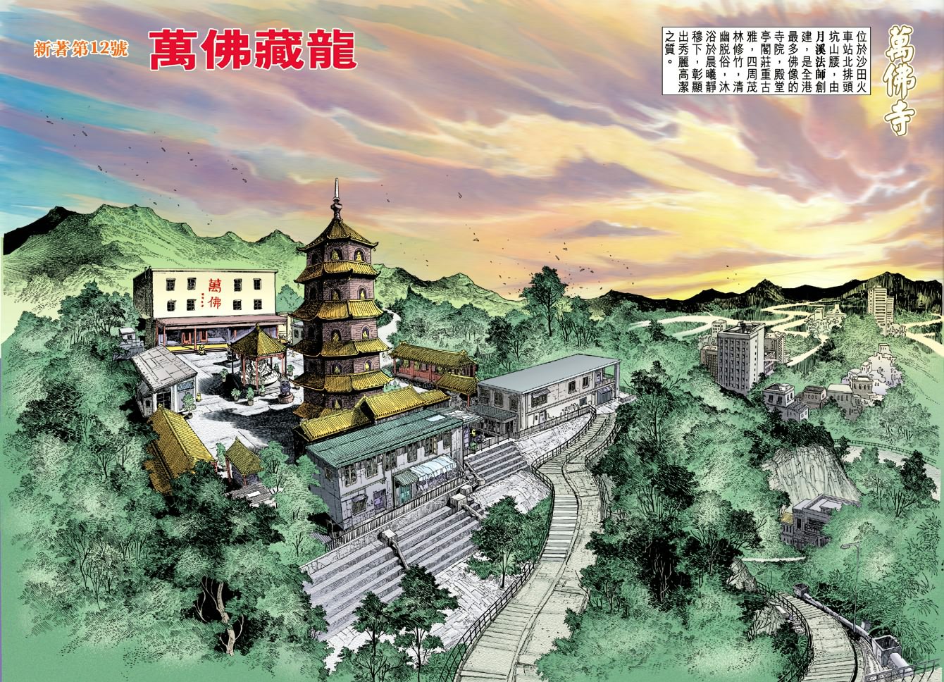 🍚新着龙虎门 第12回 第15页