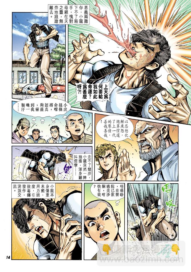 🍚新著龙虎门 第16回 第13页