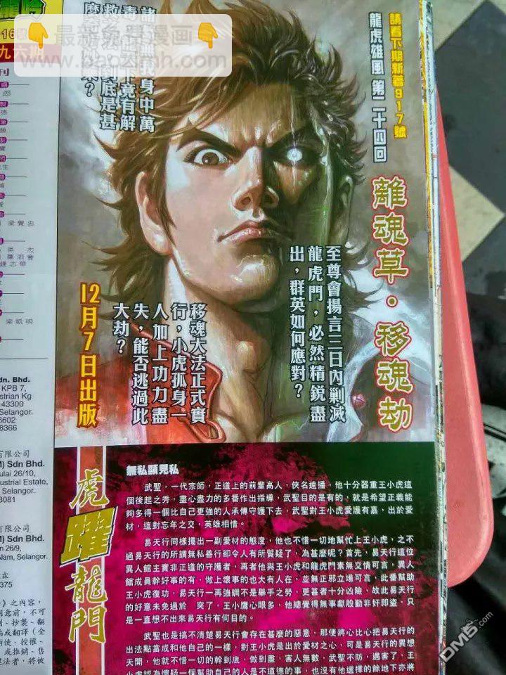 🍚新著龙虎门 第916回 第30页