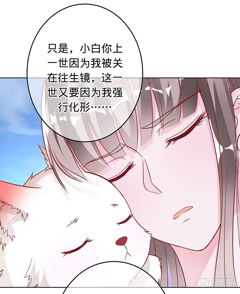 小白化形-第90话