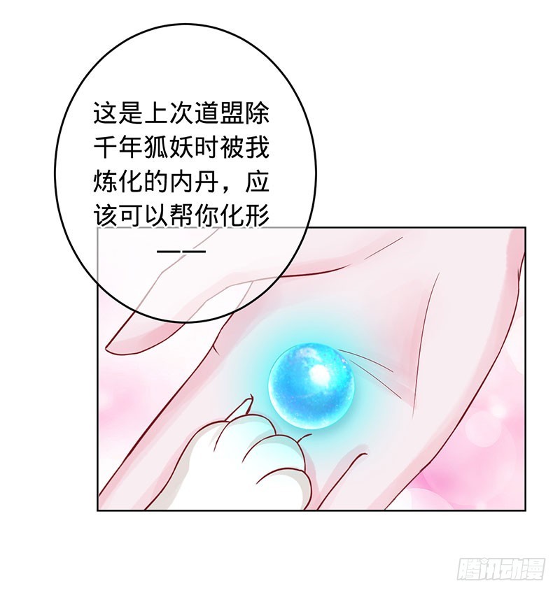 小白化形-第90话