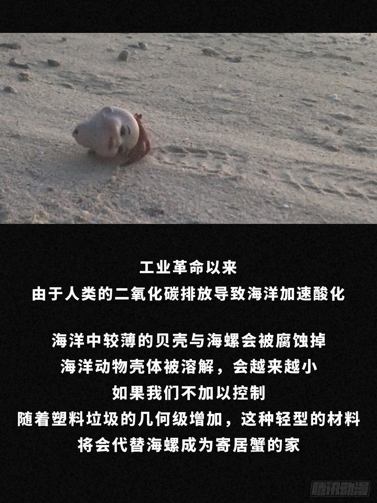 🍚细思极恐 寄居蟹 第17页