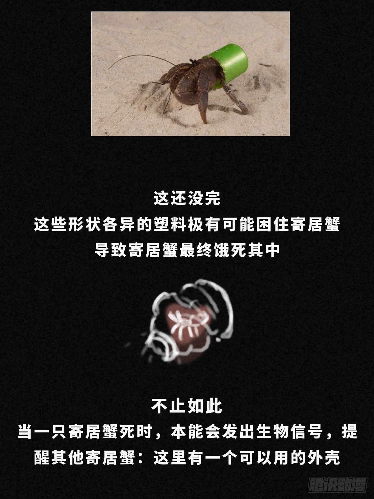 🍚细思极恐 寄居蟹 第18页