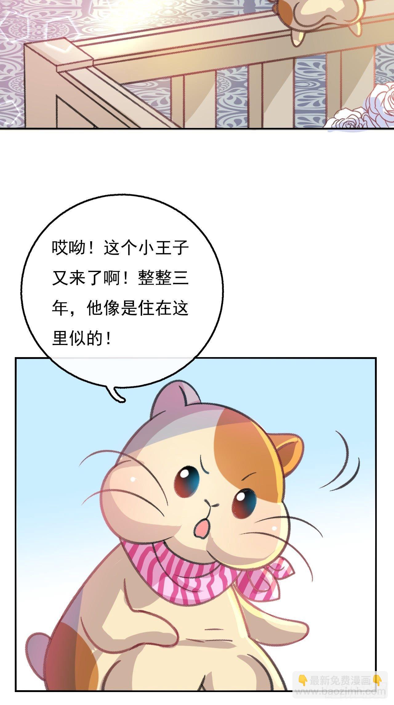 🍚系统之小公主攻略 第13话 长大后的小正太 第3页