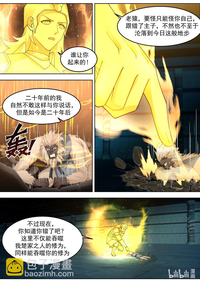 🍚修罗武神 641 楚枫之父 第3页