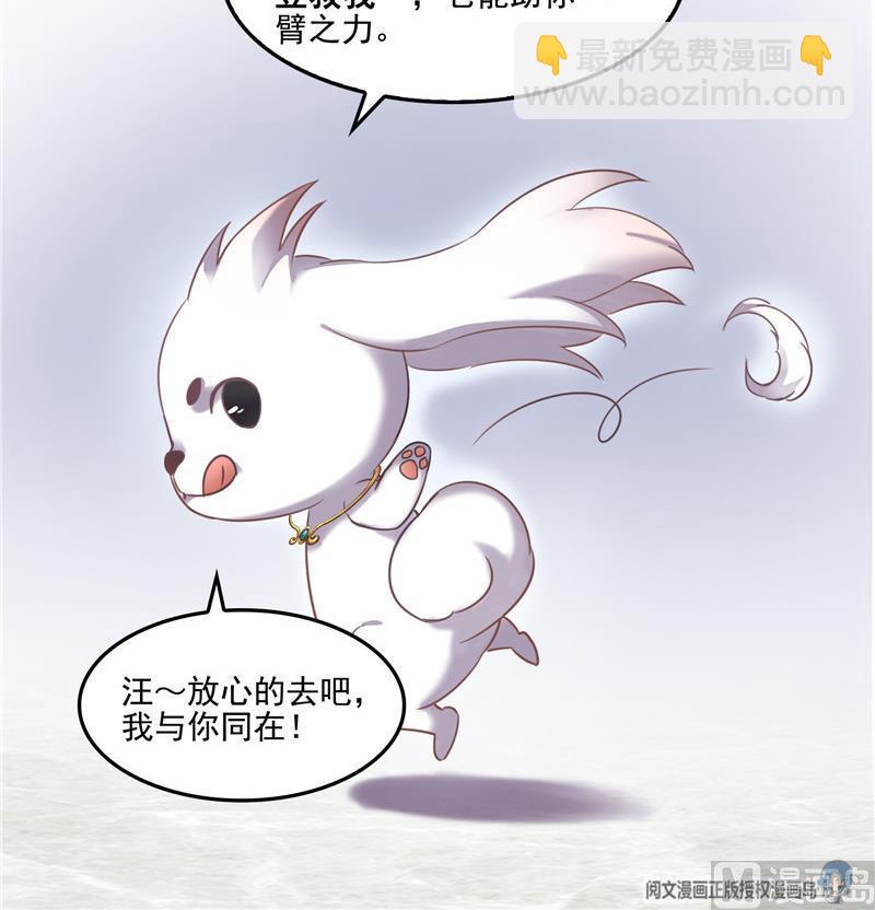 🍚修真聊天群 第108话 白前辈的祝福 第36页
