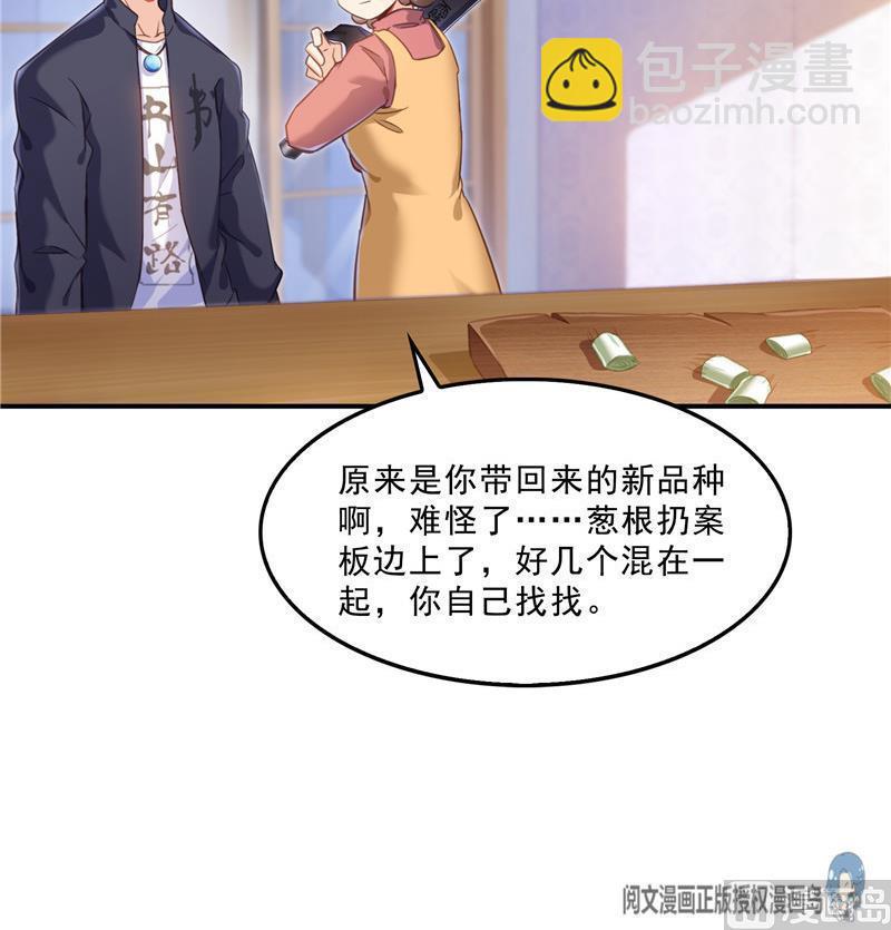 🍚修真聊天群 第152话 三百年葱精炒羊肉 第30页