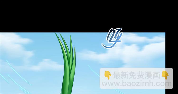 🍚修真聊天群 番外6 变成葱精 第11页