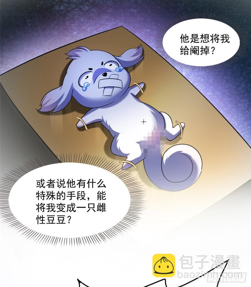 🍚修真聊天群 325 药师兄床铺再预定半月 第29页