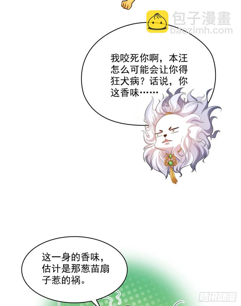 🍚修真聊天群 第365话 上上上上签 第3页
