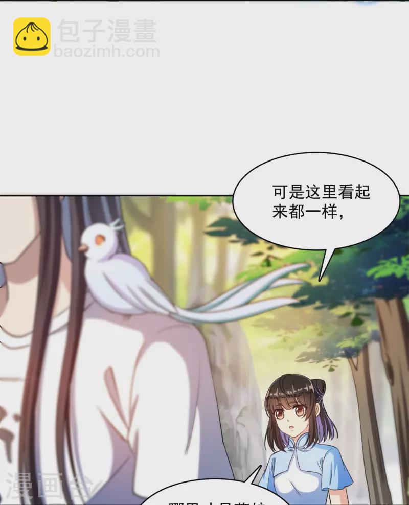 🍚修真聊天群 第402话 桃花，你最爱的人是不是我？ 第12页