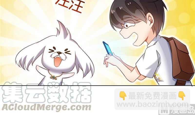 🍚修真聊天群 第76话 豆豆+白真君！ 第45页