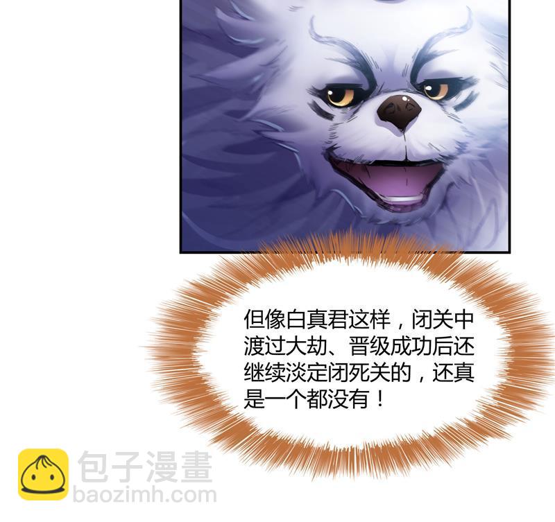 🍚修真聊天群 第78话 整个群里都是我小号！ 第10页