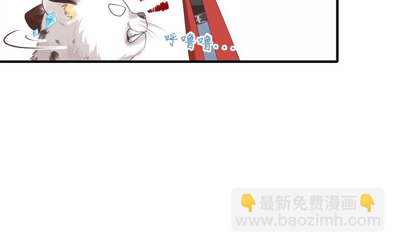 072 白景只能老子碰(1/3)-第78话