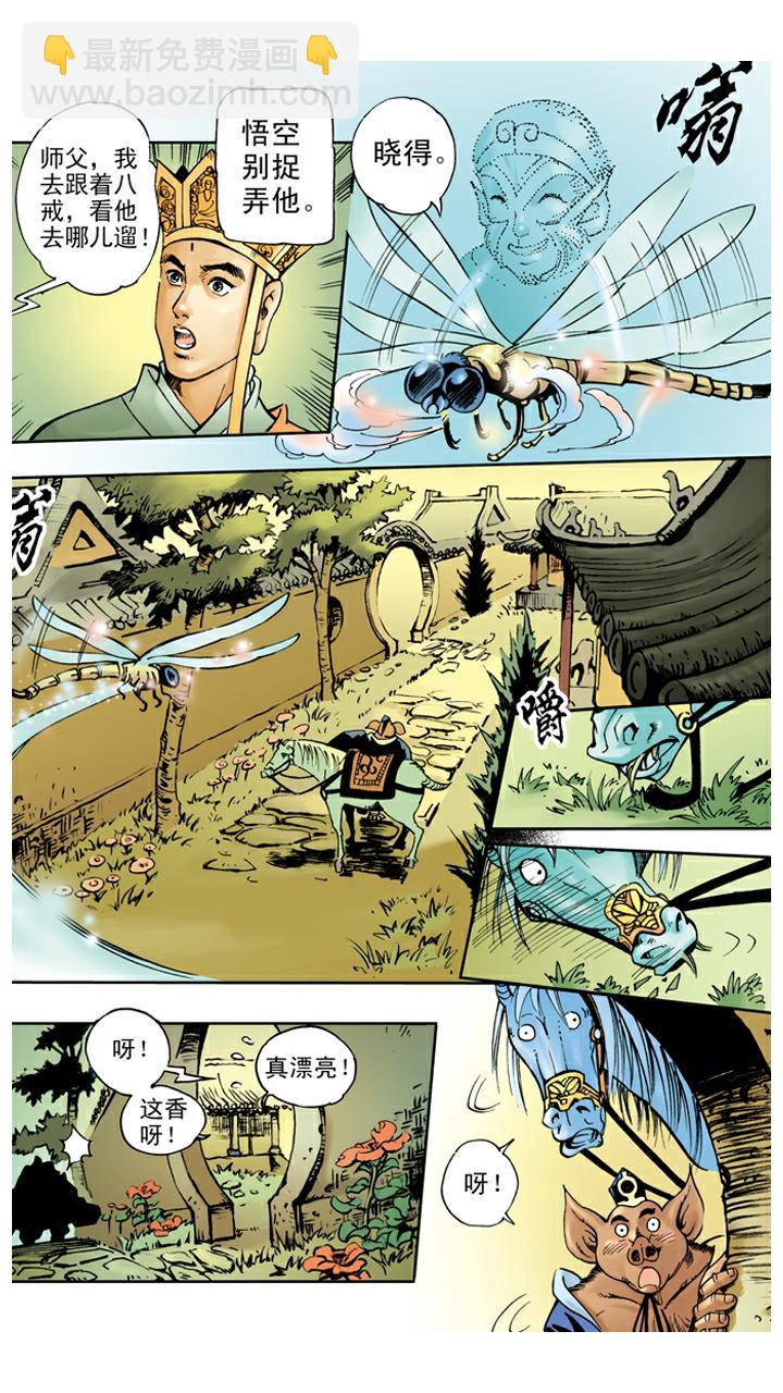 第34话 招婿-第34话