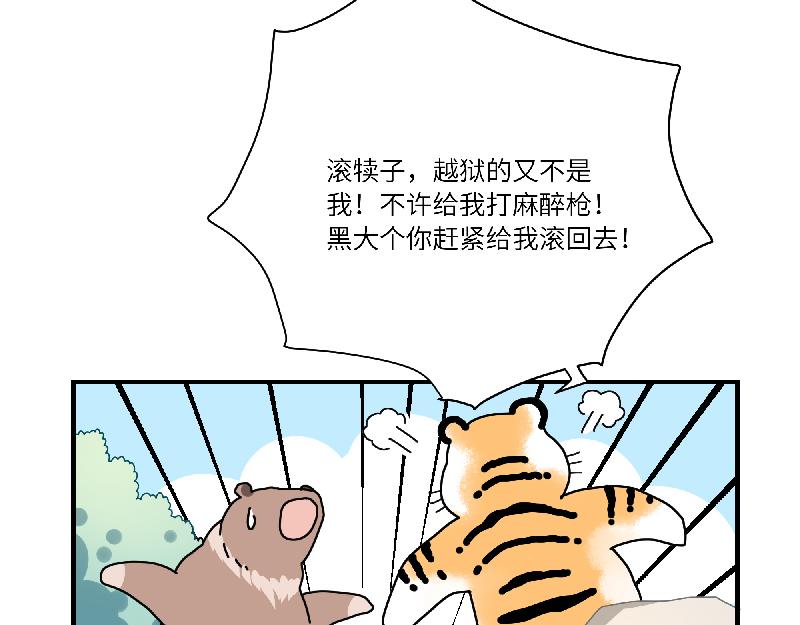 第12话 大力出奇迹-第12话
