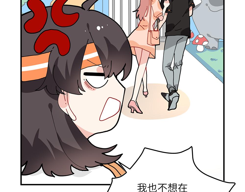 第36话 动物园一级警报(1/2)-第36话