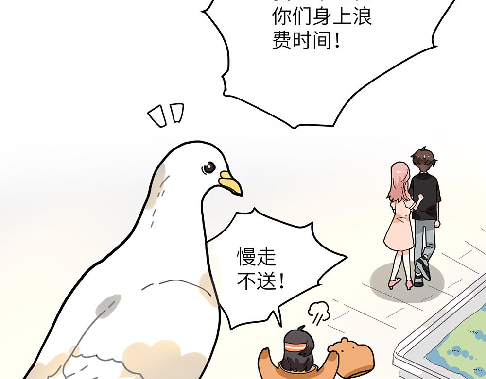 第36话 动物园一级警报(1/2)-第36话