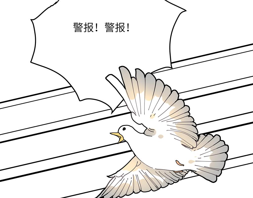 第36话 动物园一级警报(1/2)-第36话