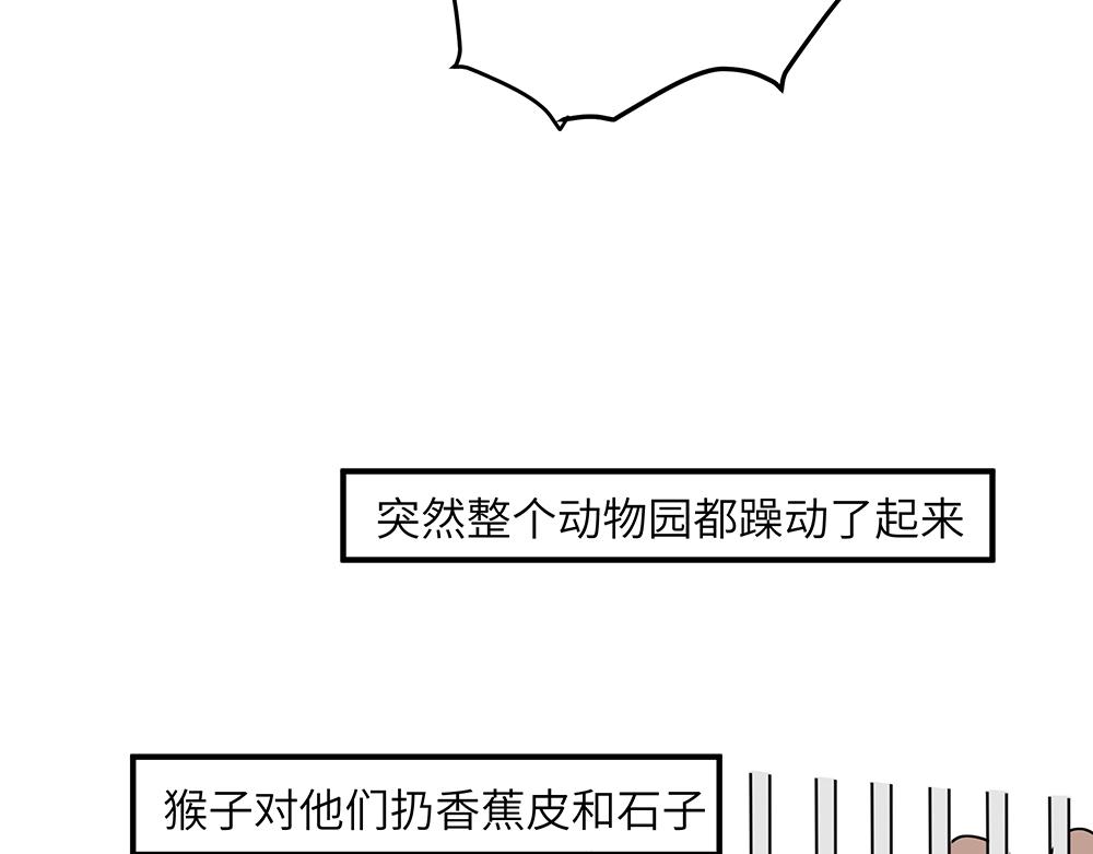 第36话 动物园一级警报(1/2)-第36话