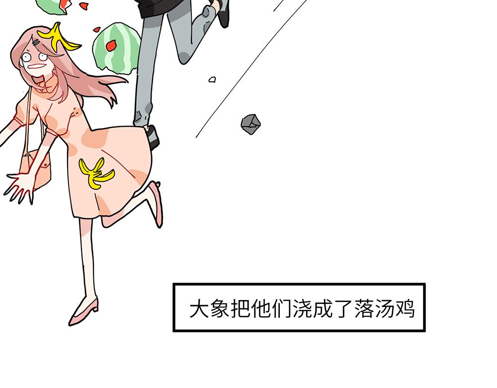 第36话 动物园一级警报(1/2)-第36话