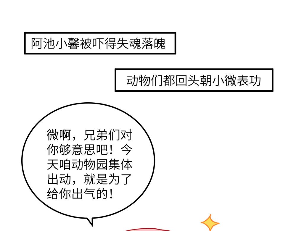 第36话 动物园一级警报(1/2)-第36话