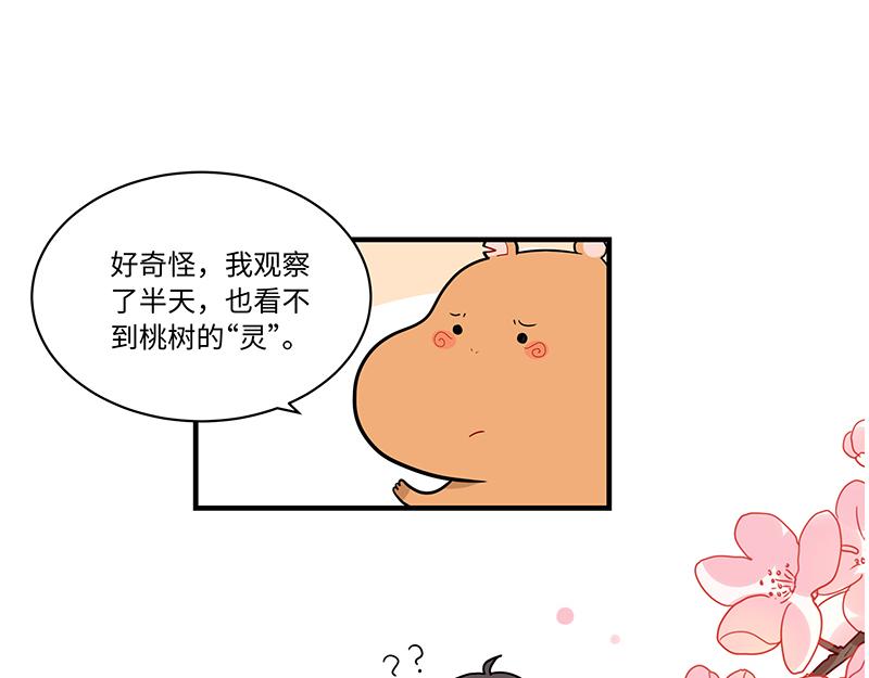 第6话 今年桃树不开花-第6话