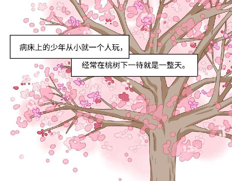 第8话 桃灵和少年-第8话