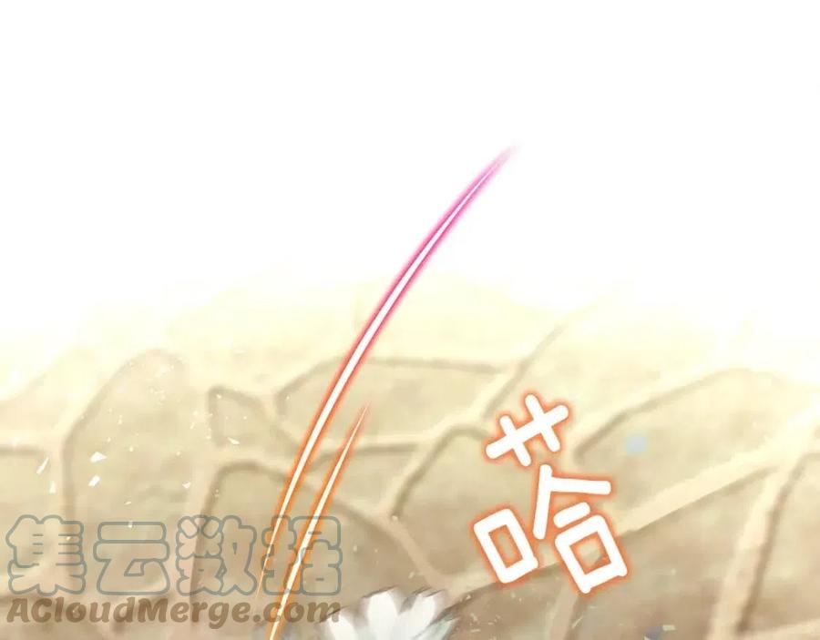 第38话 真正的皮衣(1/5)-第40话