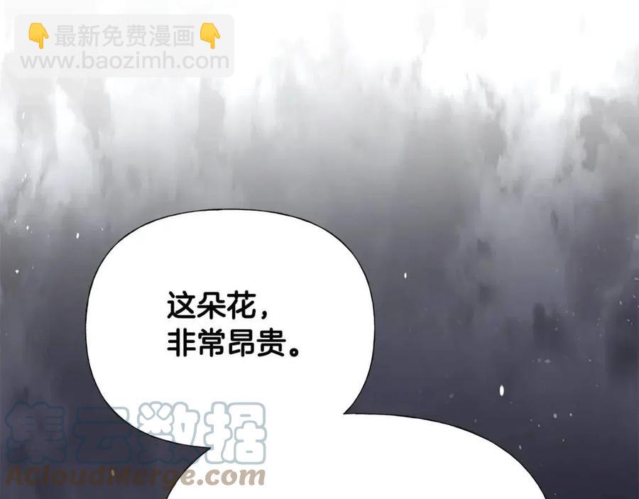 第38话 真正的皮衣(1/5)-第40话