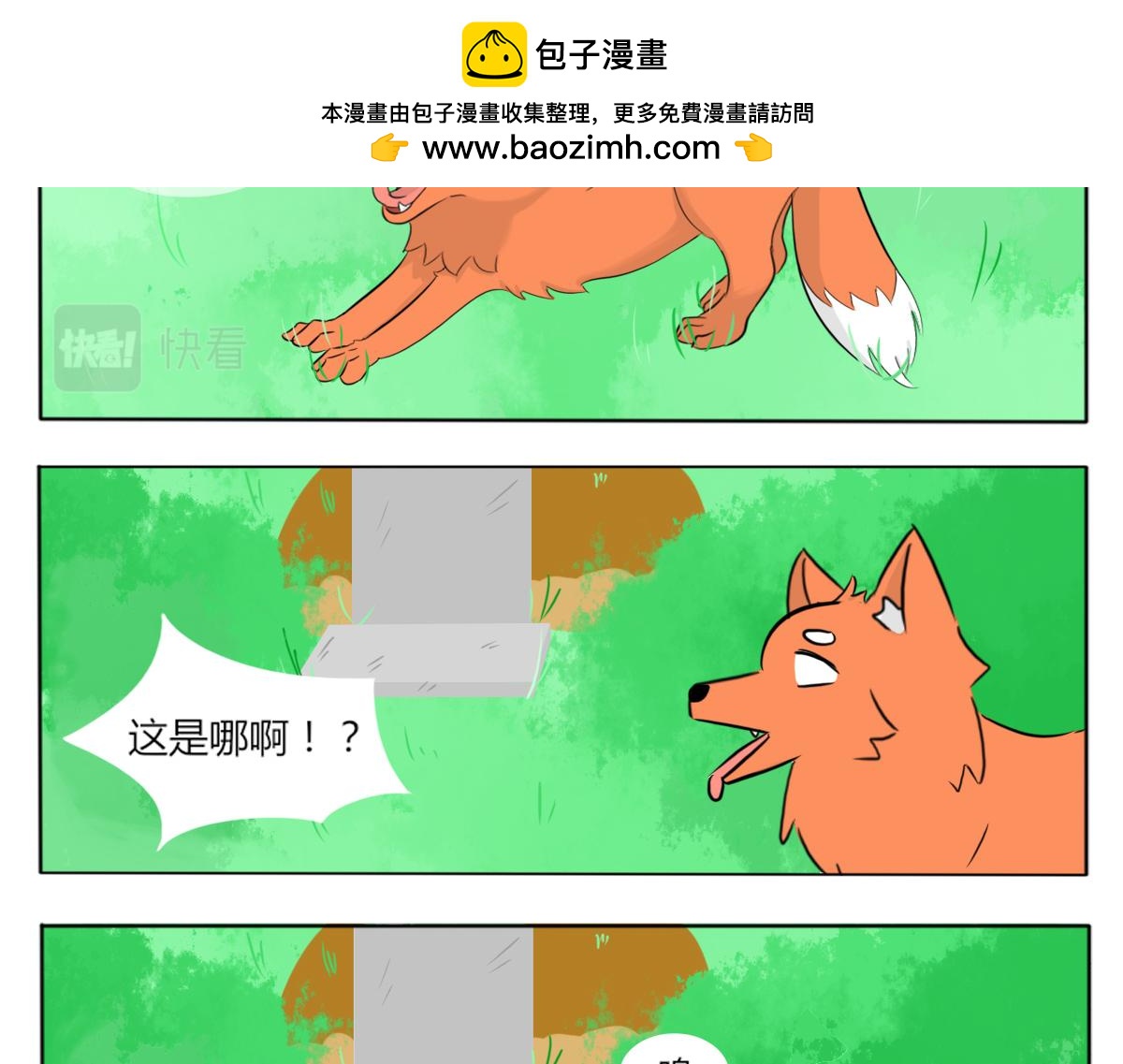🍚玄易录 请问你看没看到一只狗，有这么大 第2页