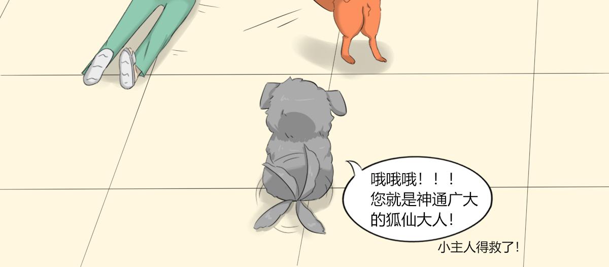 🍚玄易录 请问你看没看到一只狗，有这么大 第28页