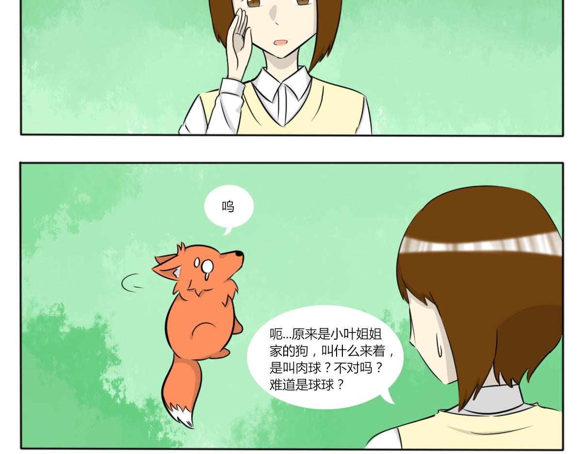 🍚玄易录 请问你看没看到一只狗，有这么大 第5页