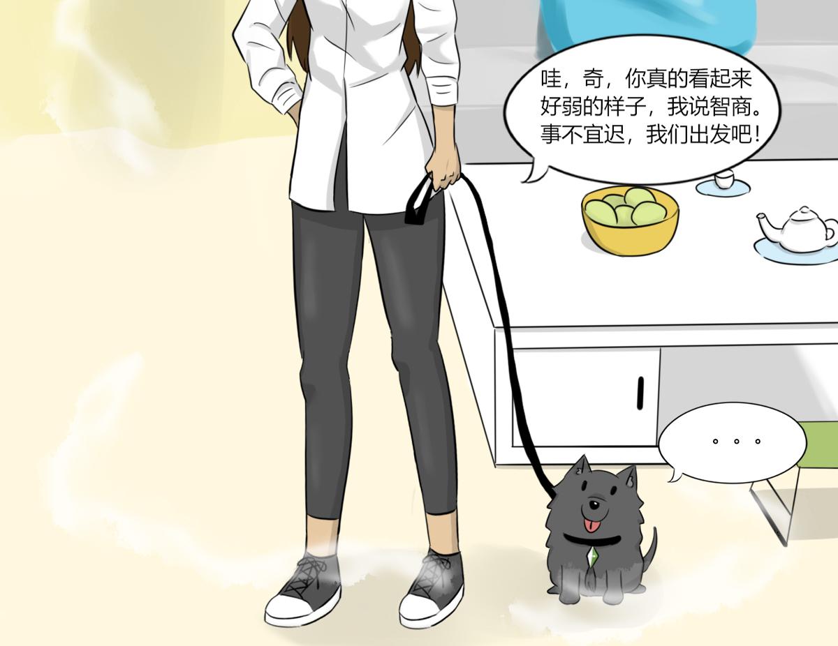 🍚玄易录 请善待它的灵魂 第12页