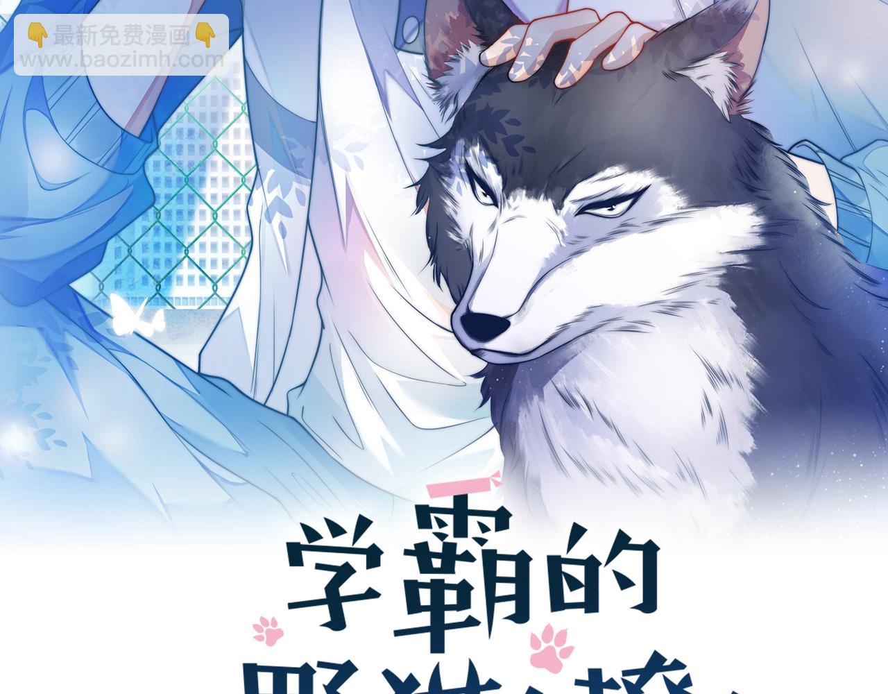 第75话 私人定制(1/2)-第76话